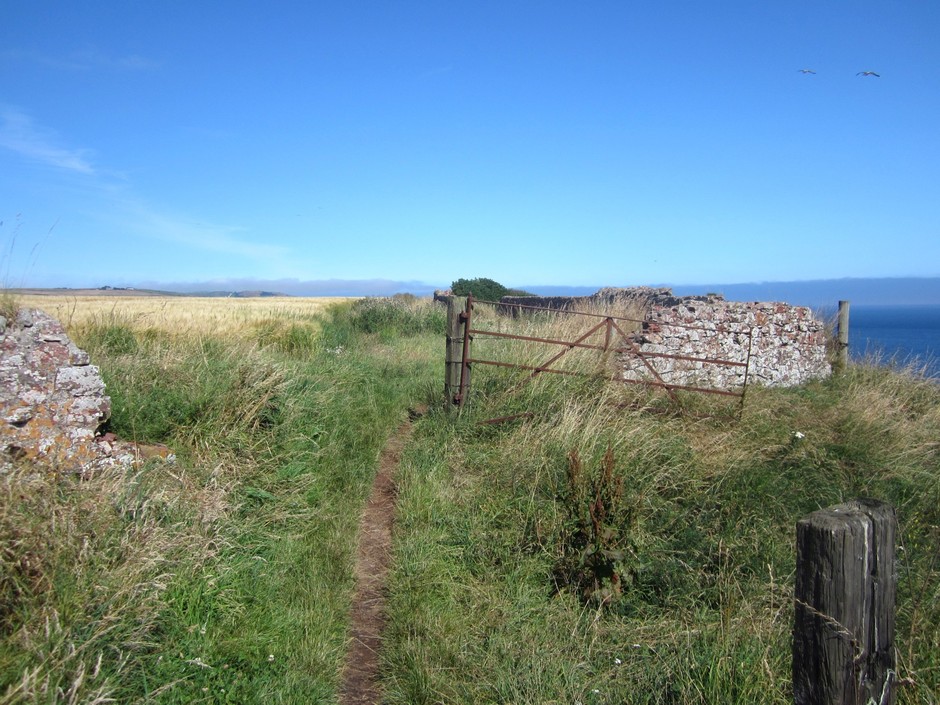 A summer walk from Eyemouth to St Abbs | The Path Less Walked